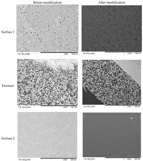 Modification of PLA Scaffold Surface for Medical Applications