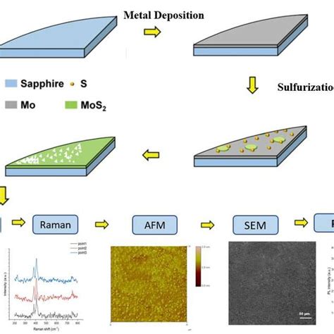 Experiment Flow Chart 的图像结果