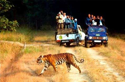 Jim Corbett National Park in Ramnagar, Wildlife Park in Ramnagar
