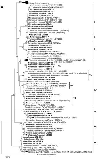 Microorganisms | Special Issue : Characterization of Microbial ...