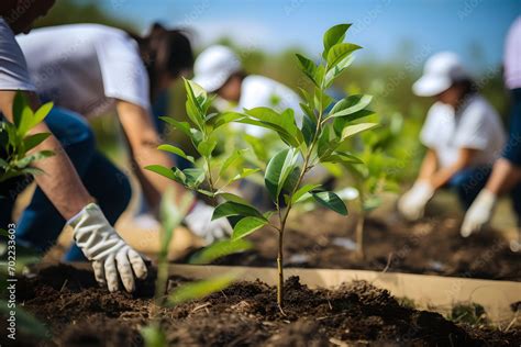 Image result for Pro-Humane Tree-Planting Project