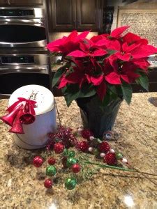 Poinsettias & Compost Pails?