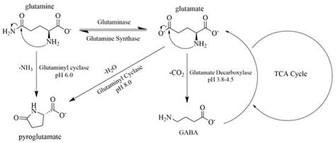 Associations of Plasma Glutamatergic Metabolites with Alpha ...