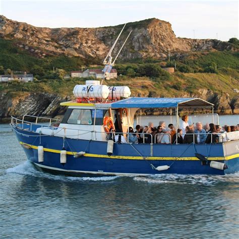 HOWTH CLIFF CRUISES (2025) All You Need to Know BEFORE You Go (with ...