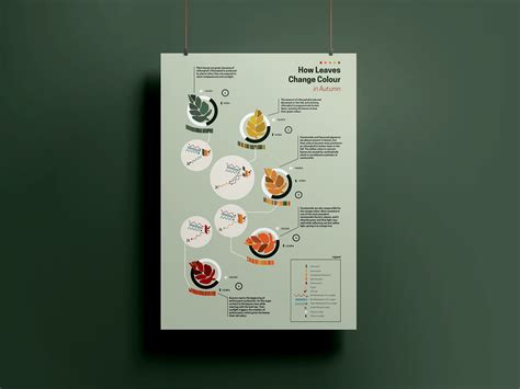 Image result for Visualizing Processes