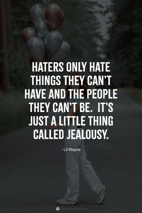 67 Short (and Funny) Quotes on Haters - Bright Drops