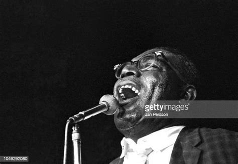 Image result for Howlin Wolf Biography