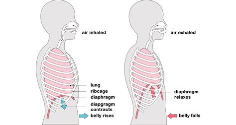 Graeme Wood is The Breathwork Guy