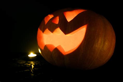 Free Images : night, fall, spooky, orange, produce, autumn, pumpkin ...