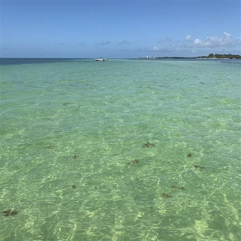 DUCK KEY MARINA (2025) All You Need to Know BEFORE You Go (with Photos ...