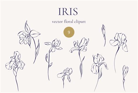 Iris Flowers. Vector Line Art Flowers Graphic by Ann_Owl · Creative Fabrica