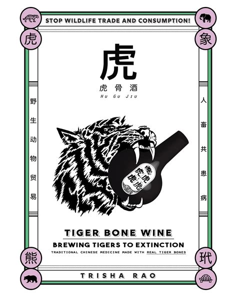 Wildlife Trade & Zoonosis — TRISH OUTTA WATER