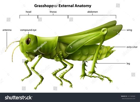 Image result for External CSS File