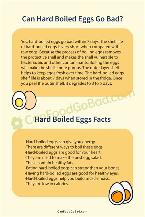 Do Eggs Go Bad In Power Outage at Greg Booth blog