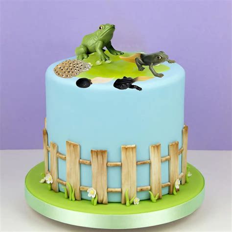 Buy Gemini&Genius Life Cycle of Frog Figurines, Insect Growth Diary ...