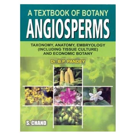 A Textbook of Botany : Angiosperms - Taxonomy, Anatomy & Economic ...