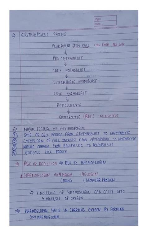 Circulatory system and lymphatic system notes : Circulatory system and ...