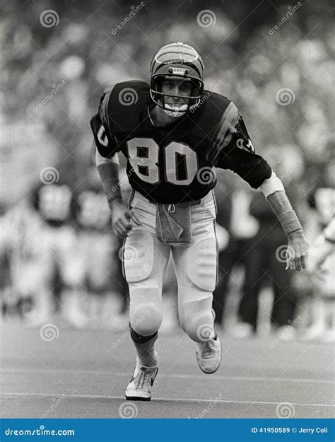 Cris Collinsworth Cincinnati Bengals WR Editorial Stock Image - Image ...