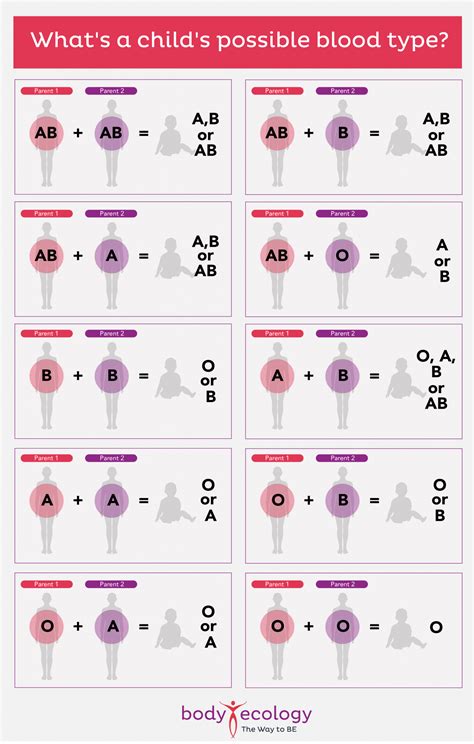Calling all Os: A deep dive into blood type O diet, exercise ...