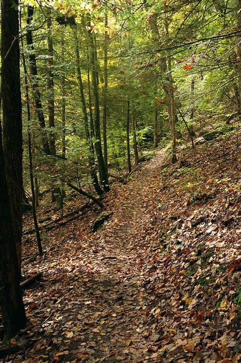 West Stockbridge Tourism (2024): All You Need to Know Before You Go