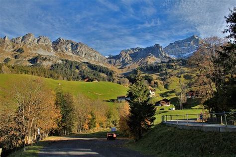 Alps Encoder 的图像结果