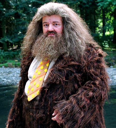 NEWS: Robbie Coltrane, Who Played Hagrid in Harry Potter, Has Passed ...