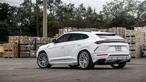 Lamborghini Urus White at Wilhelmina Davis blog