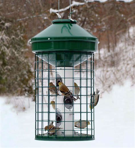 Avian Caged Sunflower & Mixed Seed Feeder 3 Gallon