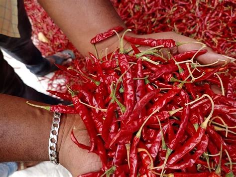 Find buyer and Business Trade Leads | Buyer Requirements in India ...