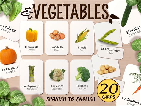 Vegetables Names In Spanish