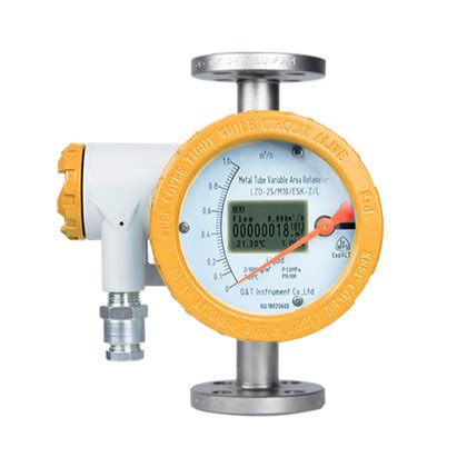 Float Flowmeter 的图像结果