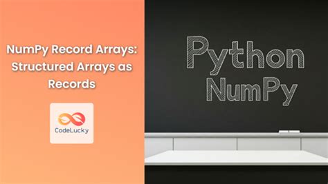 Python-Numpy Programs 的图像结果