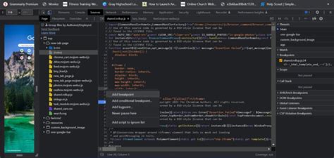 Debug JavaScript 的图像结果