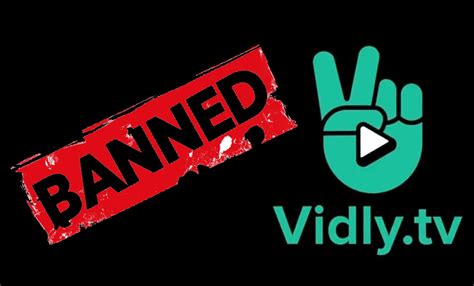 Govt Of India Blocks Pakistani OTT Platform Vidly TV For Broadcasting ...