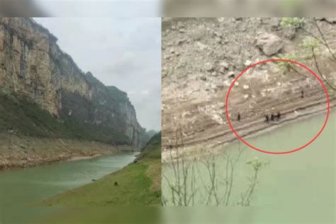 贵州2名教师为迎接领导检查下河捡鹅卵石溺亡？官方：系个人行为