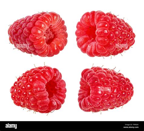 Image result for Raspberry Pi 4 White Background