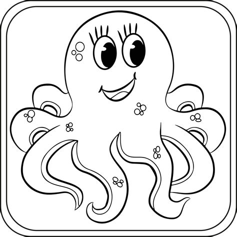 Image result for Octopus Colour