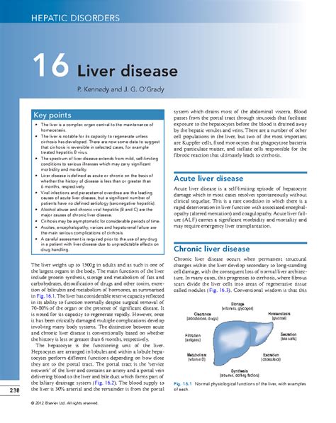 Management Strategies for Chronic Hepatitis B and C: An Overview - Studocu