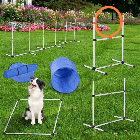 Dog Agility Equipment, Dog Agility Equipment Design Project Dog ...