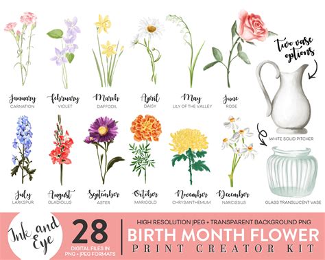 Birth Month Flowers Clipart Watercolor Floral PNG Bundle DIY - Etsy