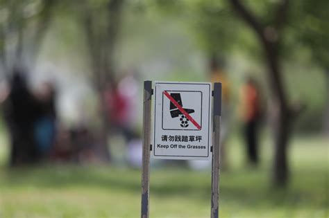 北京这座公园刚开放就被踩踏，游客不文明行为谁来管？_京报网