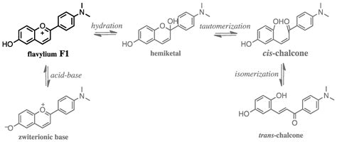 Flavylium Dye as pH-Tunable Fluorescent and CD Probe for Double ...