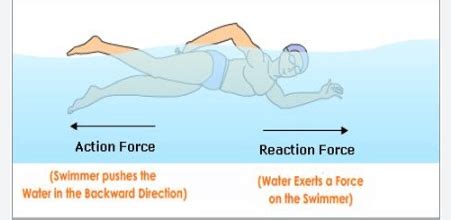 Newton's Third Law of Motion: Definition, Formulas & Applications