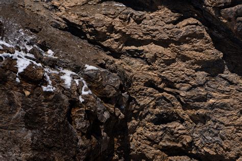 Snow Leopard Camouflage
