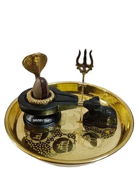Buy SHIVDEV CRAFT Narmadeshwar Shivling Original Idol for Puja with ...