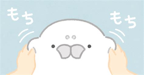 Next JS Use TypeScript Beginners 的图像结果