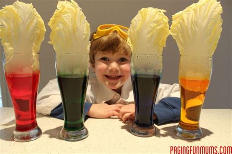 Image result for Awesome Science Experiments