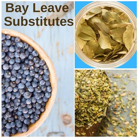 Substitute For Bay Leaf: 9 Best Options - IUJLEO