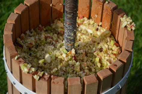 Image result for screw press  apple cider