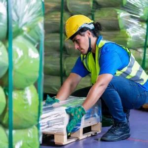 Cargo Insurance 的图像结果